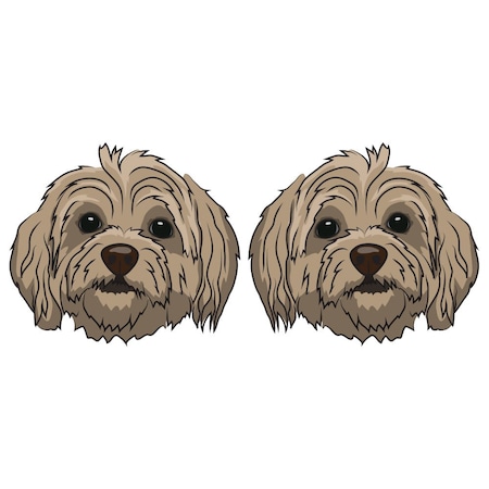 Signmission Terripoo Dog Decal, Dog Lover Decor Vinyl Sticker D-24-Terripoo